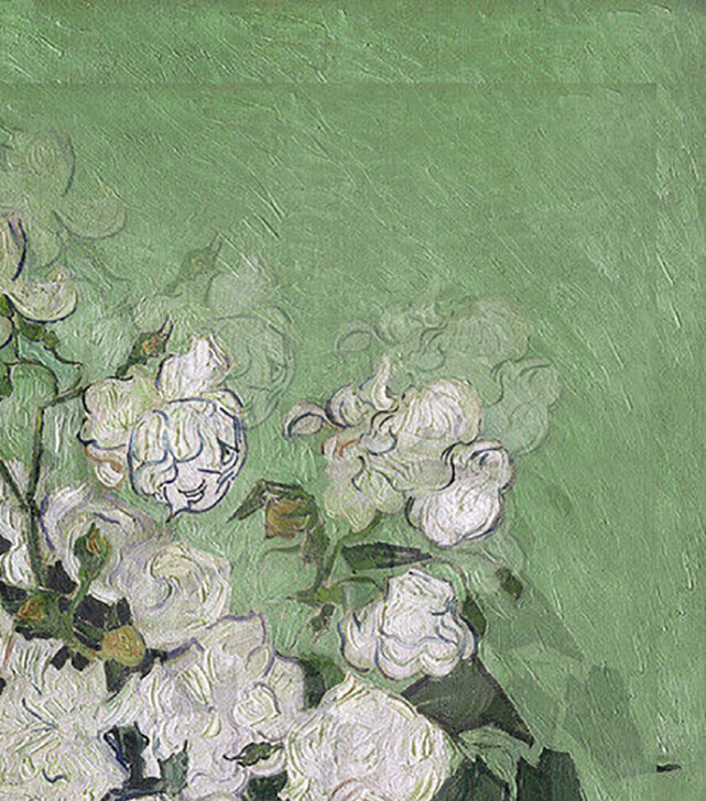 梵高 白玫瑰油画解析图片