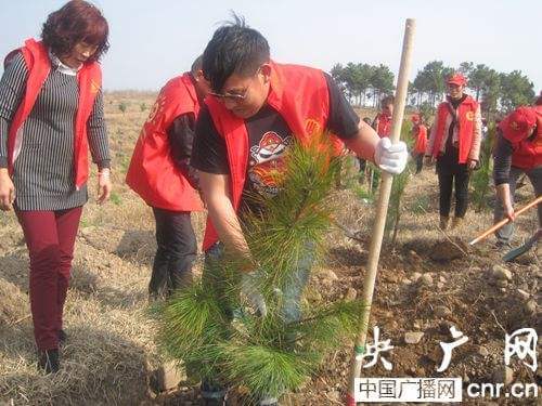 植树节手抄报内容50字左右(植树节的简短文字50字)