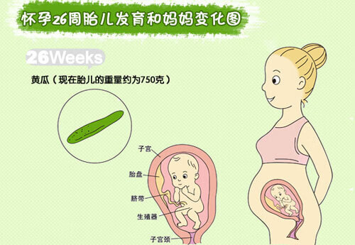 怀孕7个月肚子大小(怀孕7个月胎儿有多大)