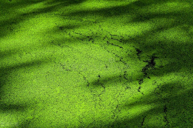 水与土的关系(水生土什么意思)