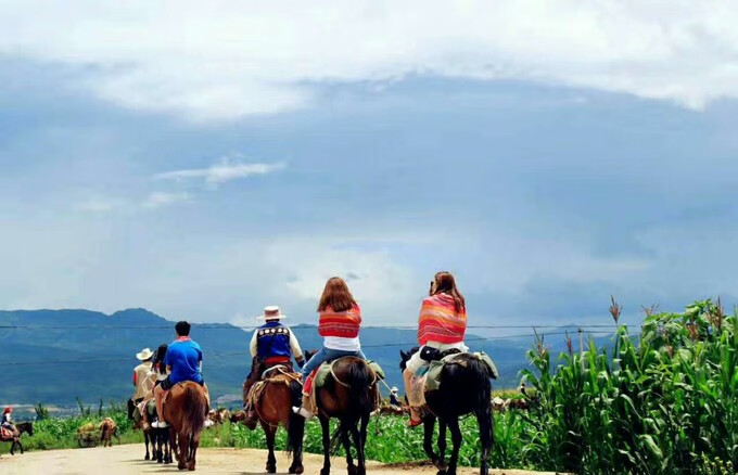 丽江游(丽江旅游团)