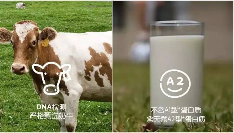 2020年315奶粉曝光(2021年315不合格奶粉名单)