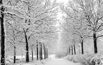 英国诗人雪莱诗句精选