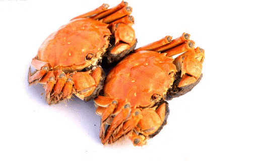 吃完螃蟹不能吃什么喝什么(螃蟹不能和什么吃在一起)
