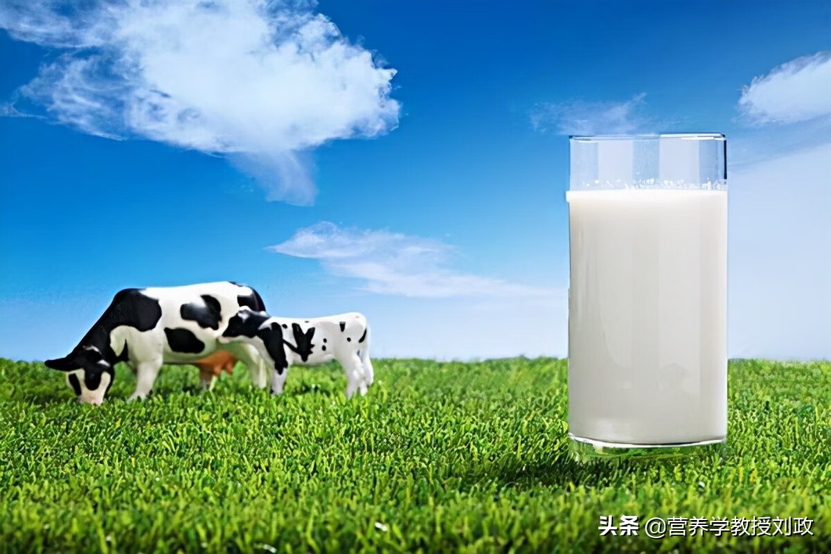 学生喝什么奶粉好?(学生适合喝什么奶粉)