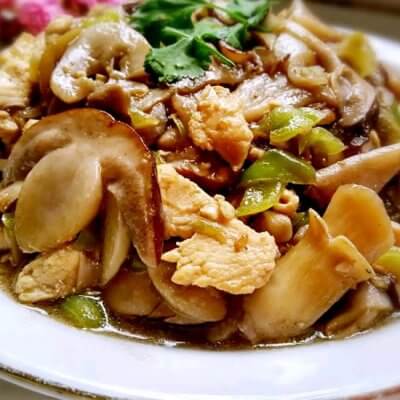 松耸(干松茸菌)