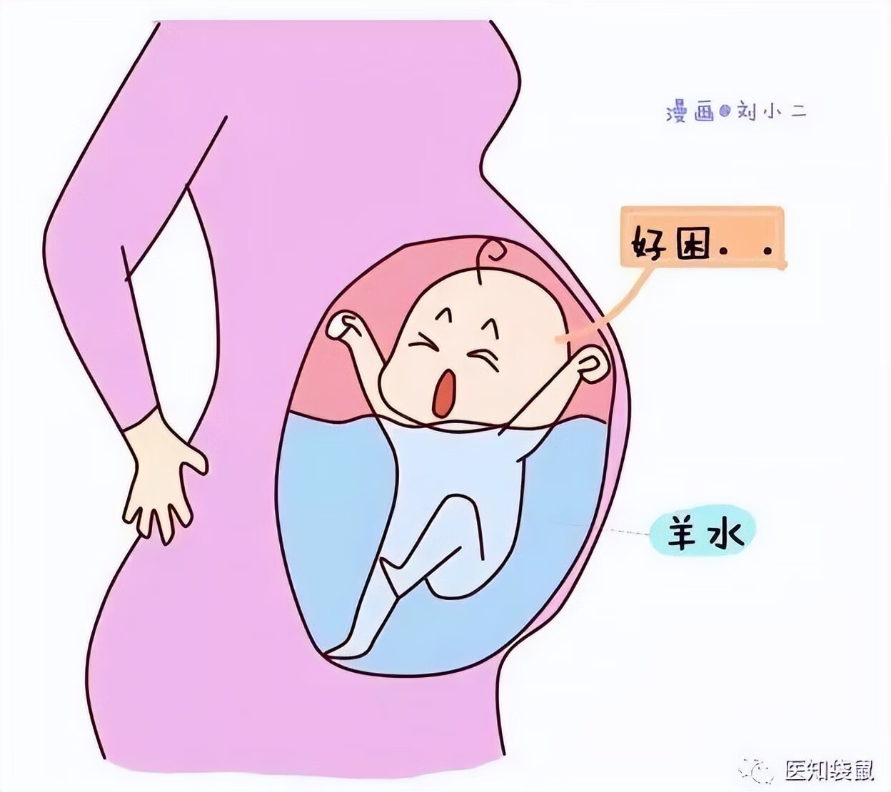 怀孕5个月胎儿图片(五个月胎儿图片 有多大)