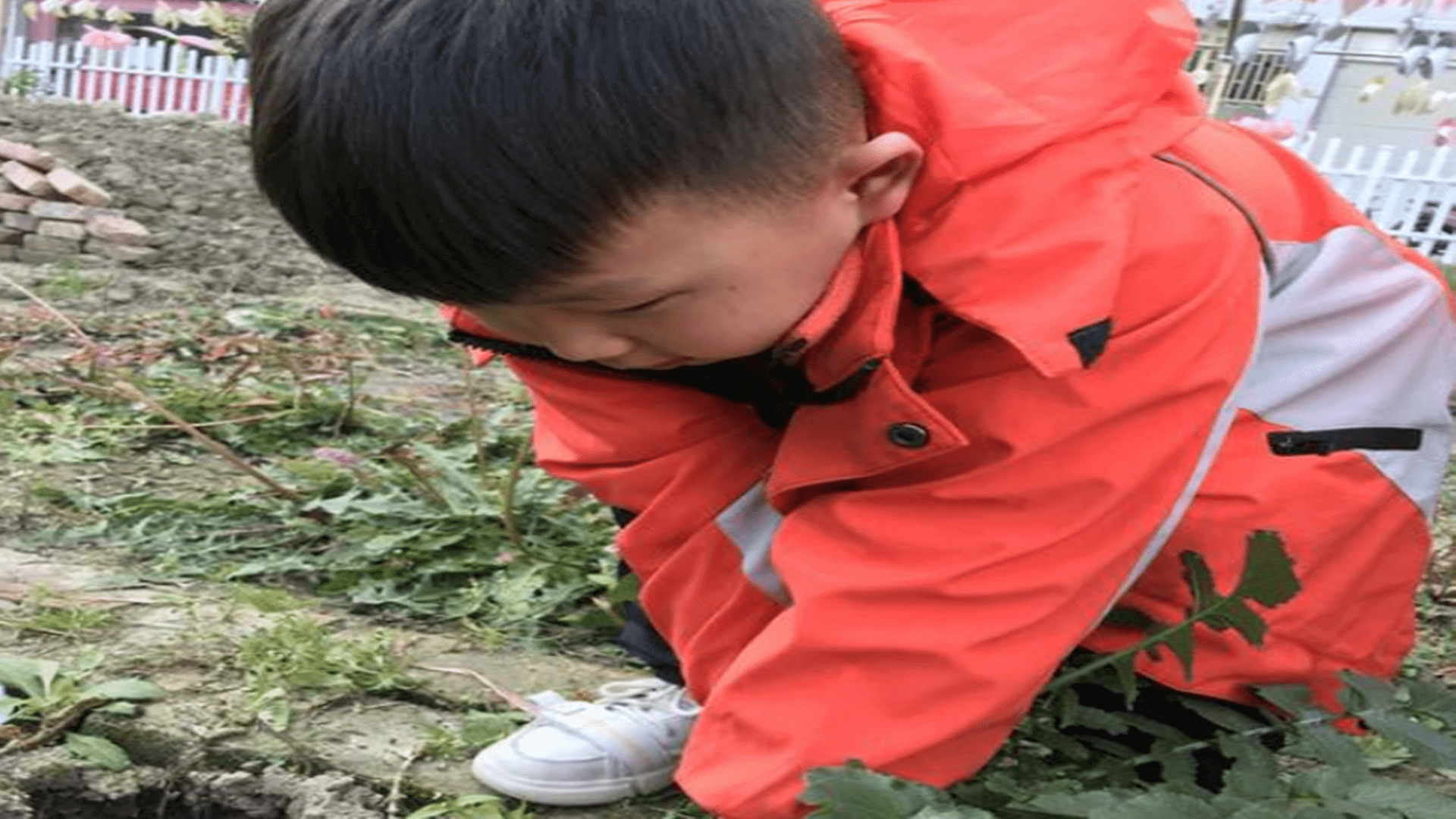 什么是单亲家庭子女(单亲家庭的定义是什么)