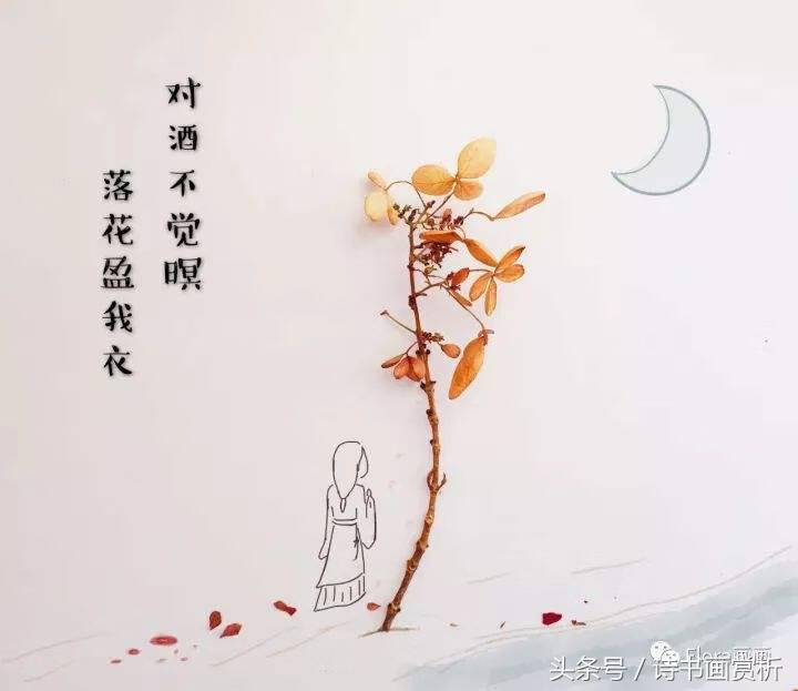 众鸟高飞尽下一句是什么?(众鸟高飞尽)