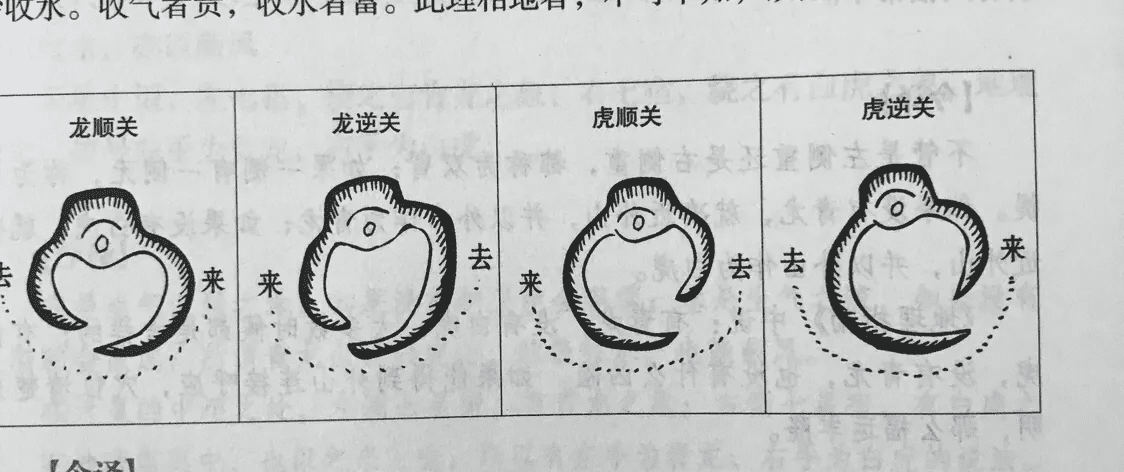 风水龙身带印风水里有叫什么盘龙风水
