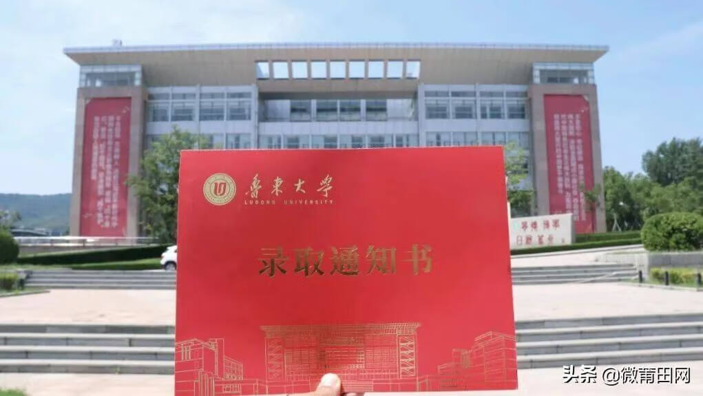 鲁东大学2020录取分数线是多少(鲁东大学考研分数线2020)