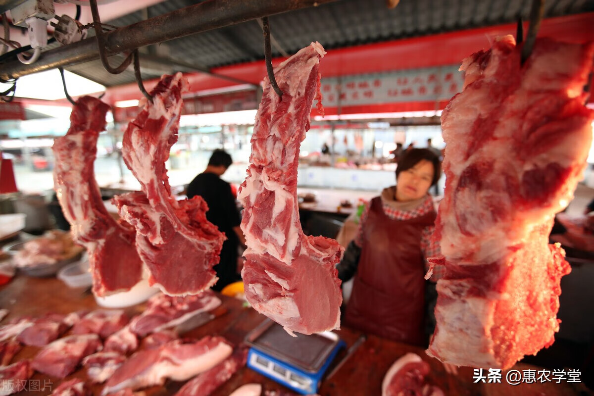 猪肉价格走势(今日生猪价格一览表)