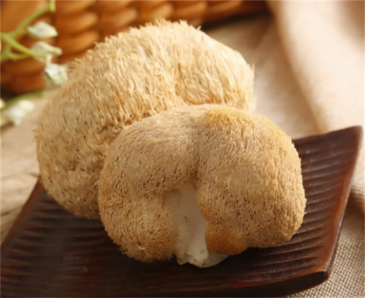猴头菇怎么吃