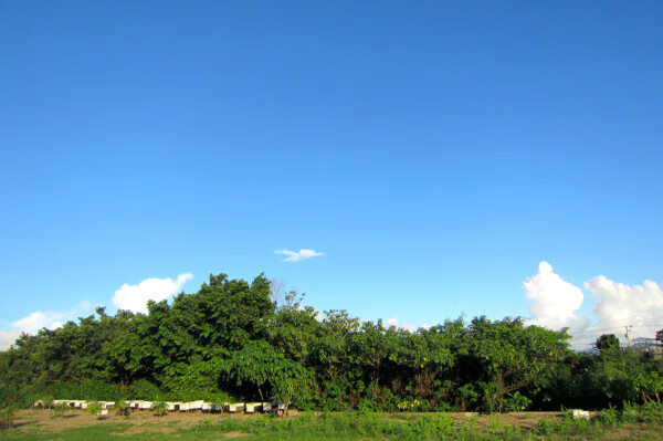 去台湾旅游网(2022怎么去台湾旅游)