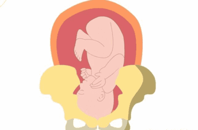 怀孕分娩的过程(孕妇生产流程)