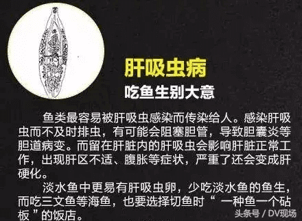 囊虫病(蝇蛆病)