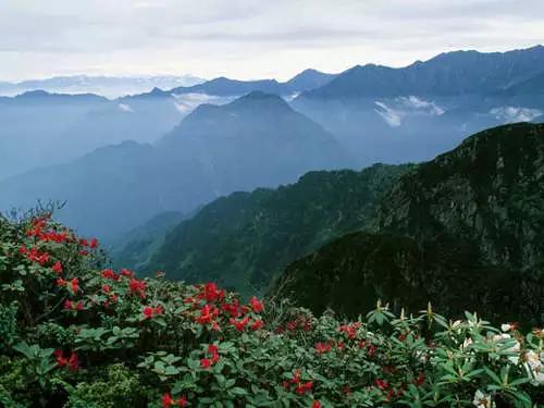 彭州好不好(彭州山上哪里好耍)