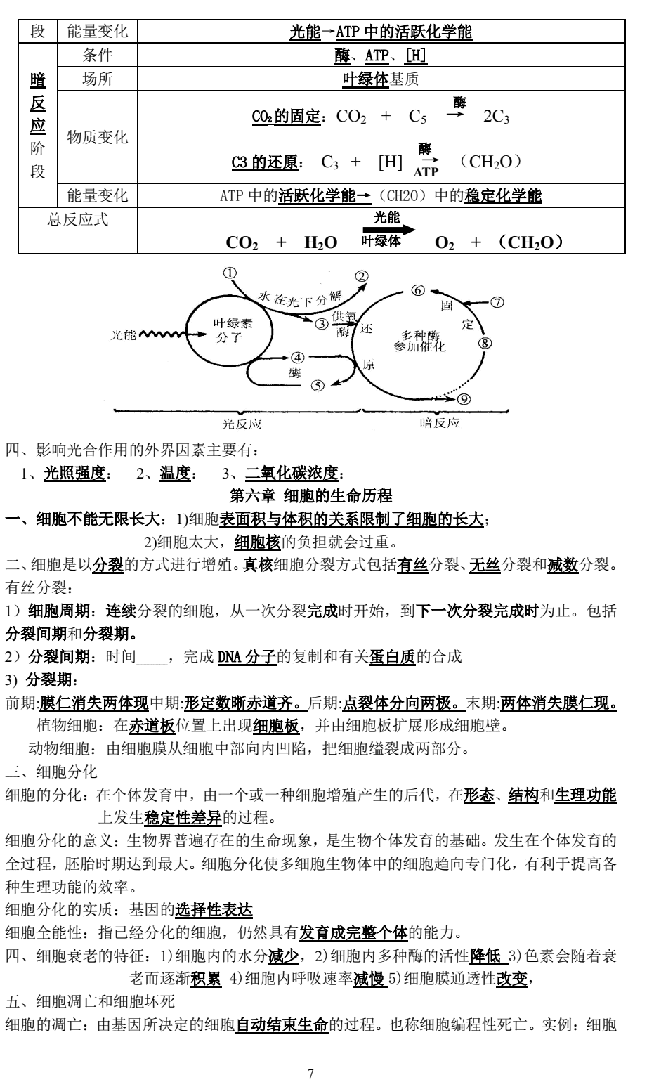 高中生物知识点总结(高一生物知识点归纳)