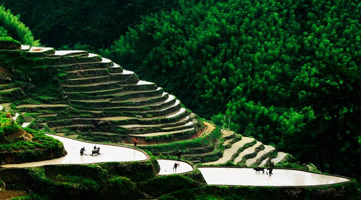 李凤风水大师(河南刘凤山)