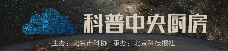 瘦身衣真的能瘦吗(瘦身衣穿久了对身体有害吗)