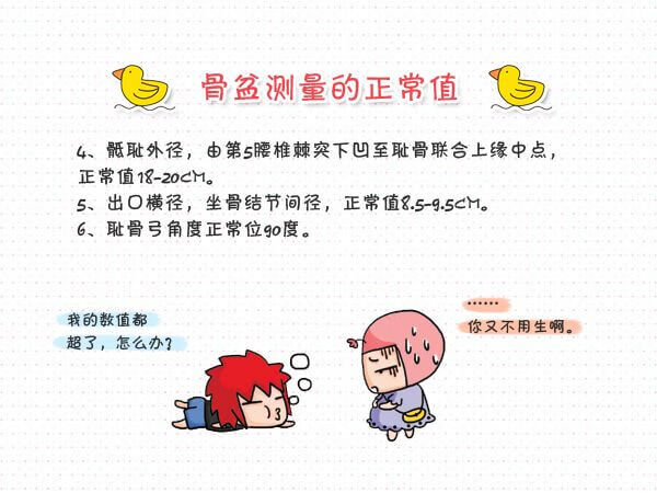怎么测骨盆(骨盆测量图解)