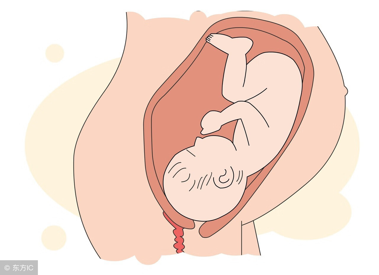 孕33周胎儿入盆图片图片
