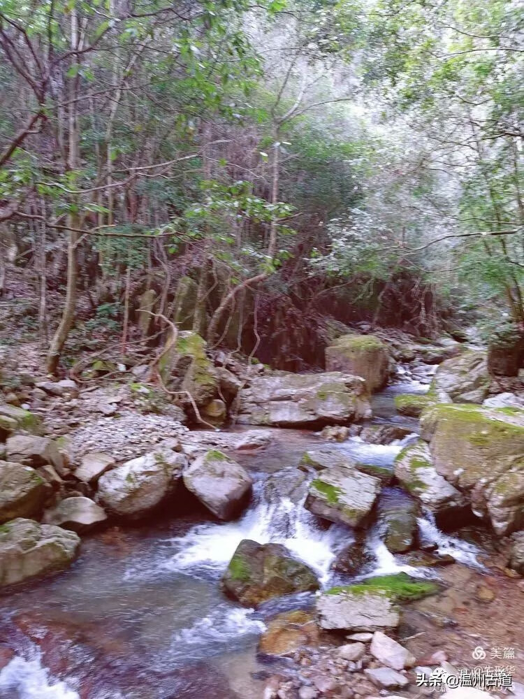 温州市永嘉楠溪江(温州楠溪江天气预报)