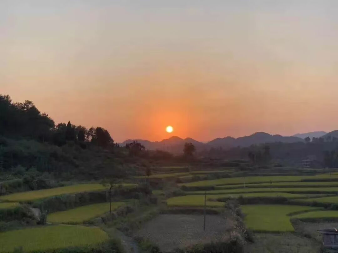 马骏 风水(河马风水寓意)