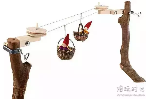 一岁两个月宝宝早教游戏(1岁两个月宝宝早教活动)