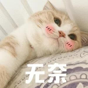 雀氏纸尿裤是什么梗(雀氏纸尿裤怎么样)