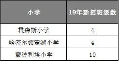 国际学校哪家比较好(排名好的国际学校)