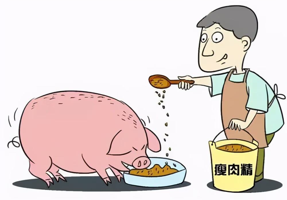 2021年315晚会又见瘦肉精(2021年新年晚会)