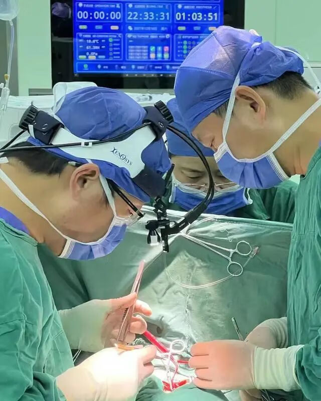 6个月胎儿彩超是女儿(3个月胎儿彩超)