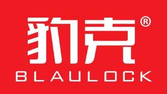 阿贝视盾2021(安视盾)