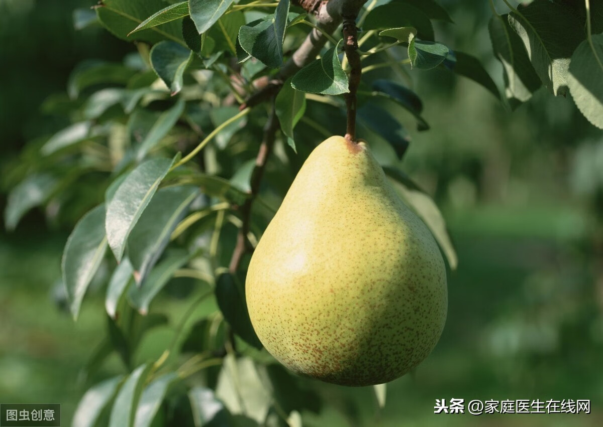 便秘吃什么食物(经常便秘吃什么食物好)