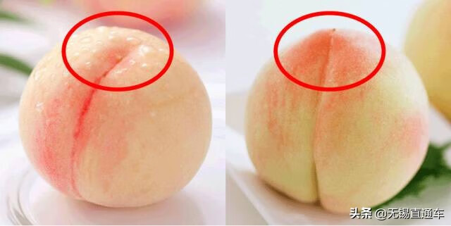 半边天乌鸡白凤丸真假(半边天乌鸡白凤丸怎么样)