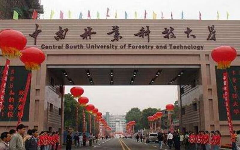 中南林业科技大学录取分数线表(中南林业科技大学艺术生分数线)