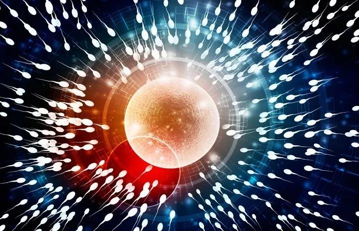 怎样能怀孕几率高(怎么样容易怀孕的几率高一点)