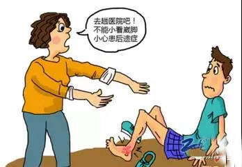 红花油的作用与功效(红花油的主治功能)