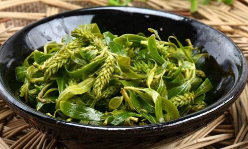 柳叶风水作用(柳叶菜的功效与作用和图片)