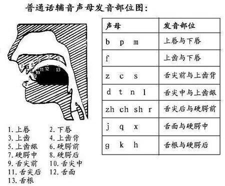 怎样说好普通话?(如何快速说好普通话)