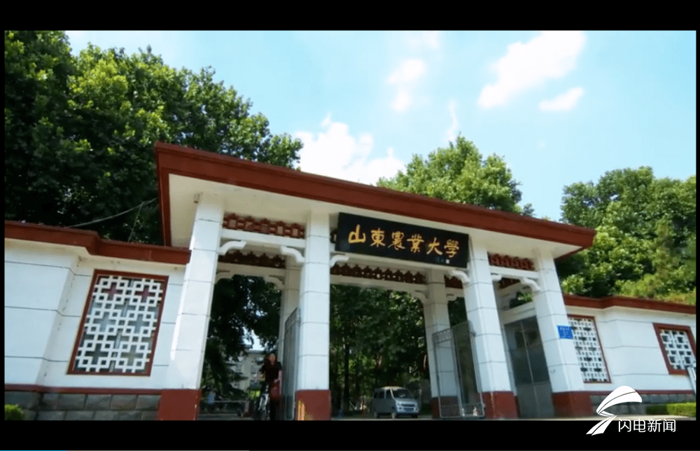 山东农业大学研究生院在哪(山东农业大学农学院)