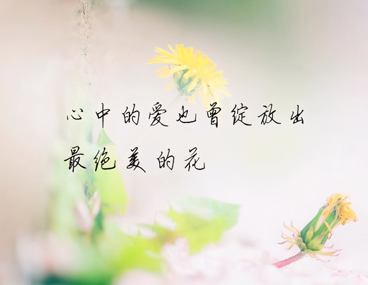315爱情含义是什么意思(315在爱情里是啥意思)
