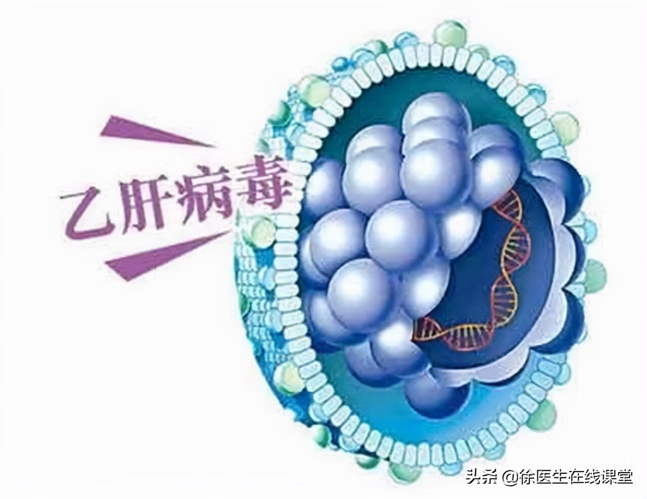 谷草谷丙偏高1.2(谷草谷丙偏高1.7)