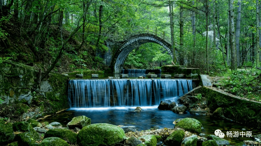 夏季旅游推荐(夏季旅游城市推荐)