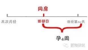 胎芽是什么部位(胎芽是什么样的图片)