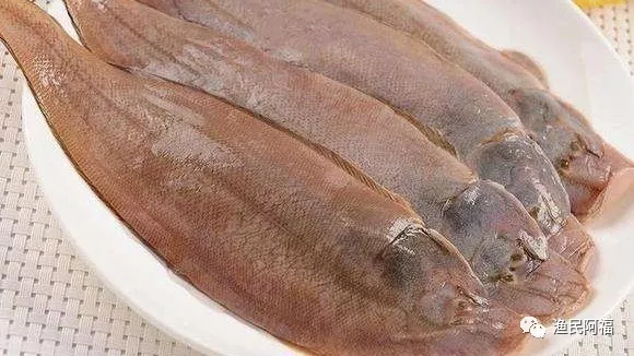 孕妇吃海鲜(孕妇能吃的海鲜排行榜)