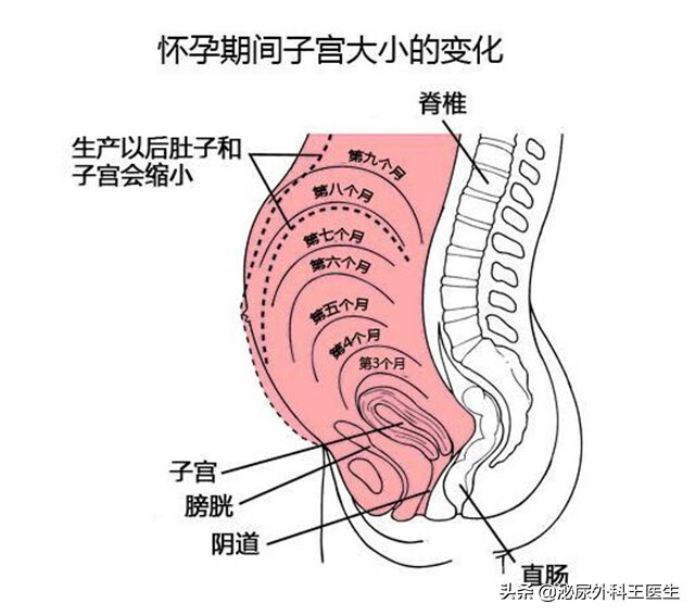 子宫切除肠线吸收过程图片