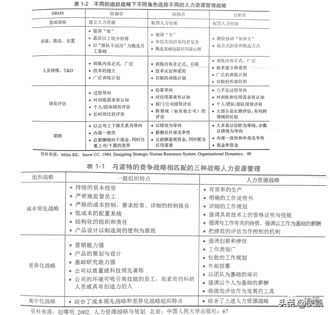 人力资源管理战略的内容(战略人力资源管理的内容)