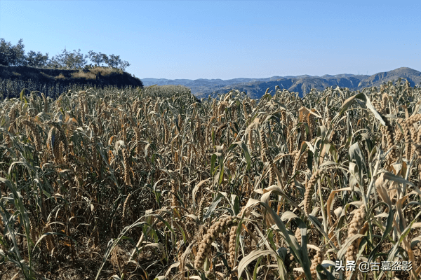 墓地是风水宝地,现在上面盖房好吗?(建房子风水宝地有什么忌讳)